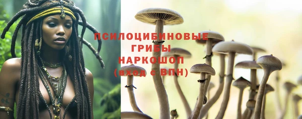 Альфа ПВП Абаза