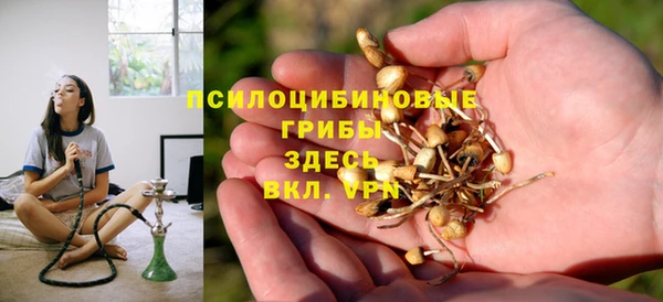 дурь Абдулино