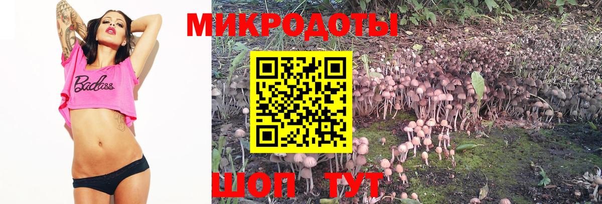 Псилоцибиновые грибы Cubensis Шали
